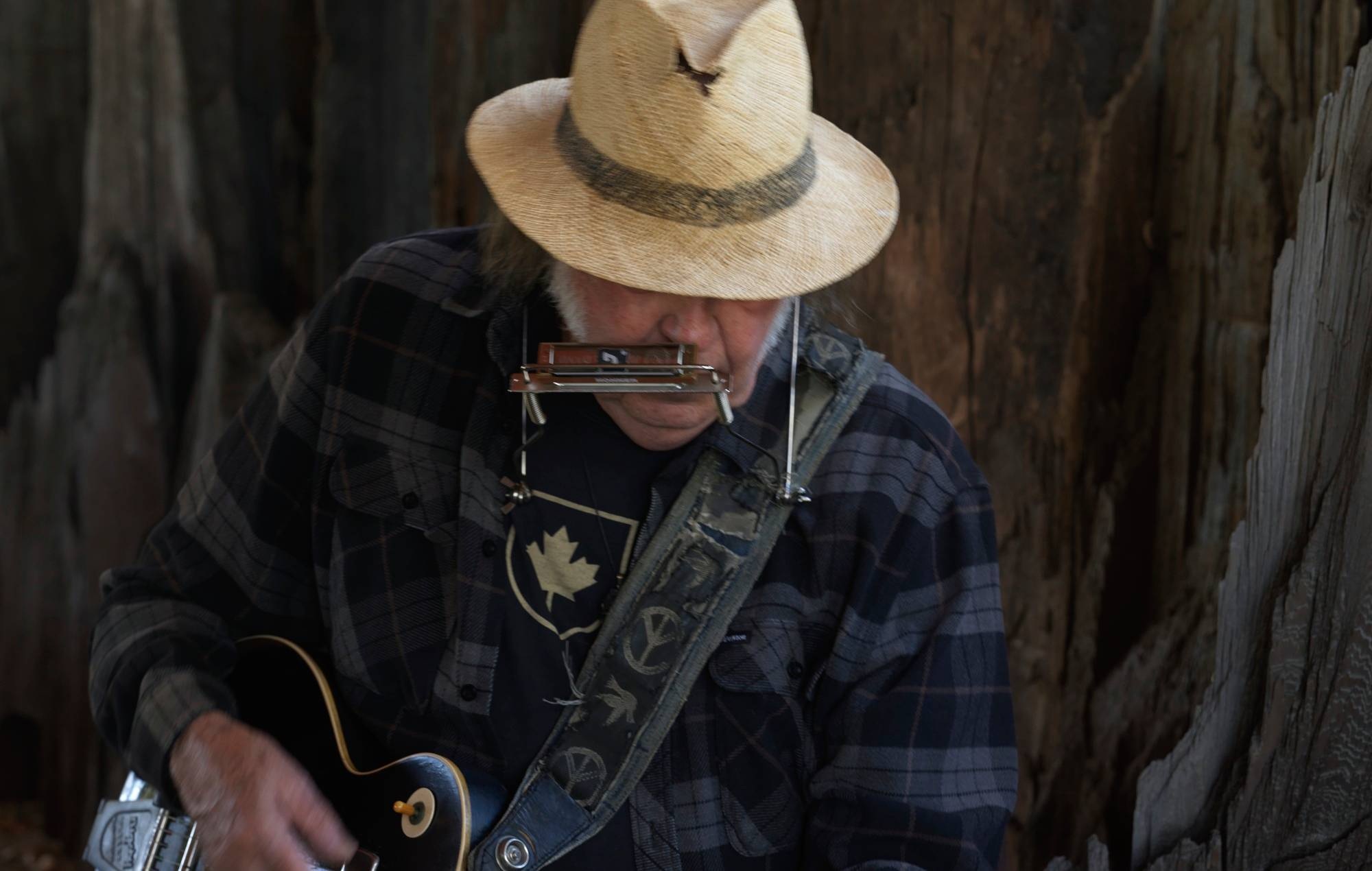 Neil Young