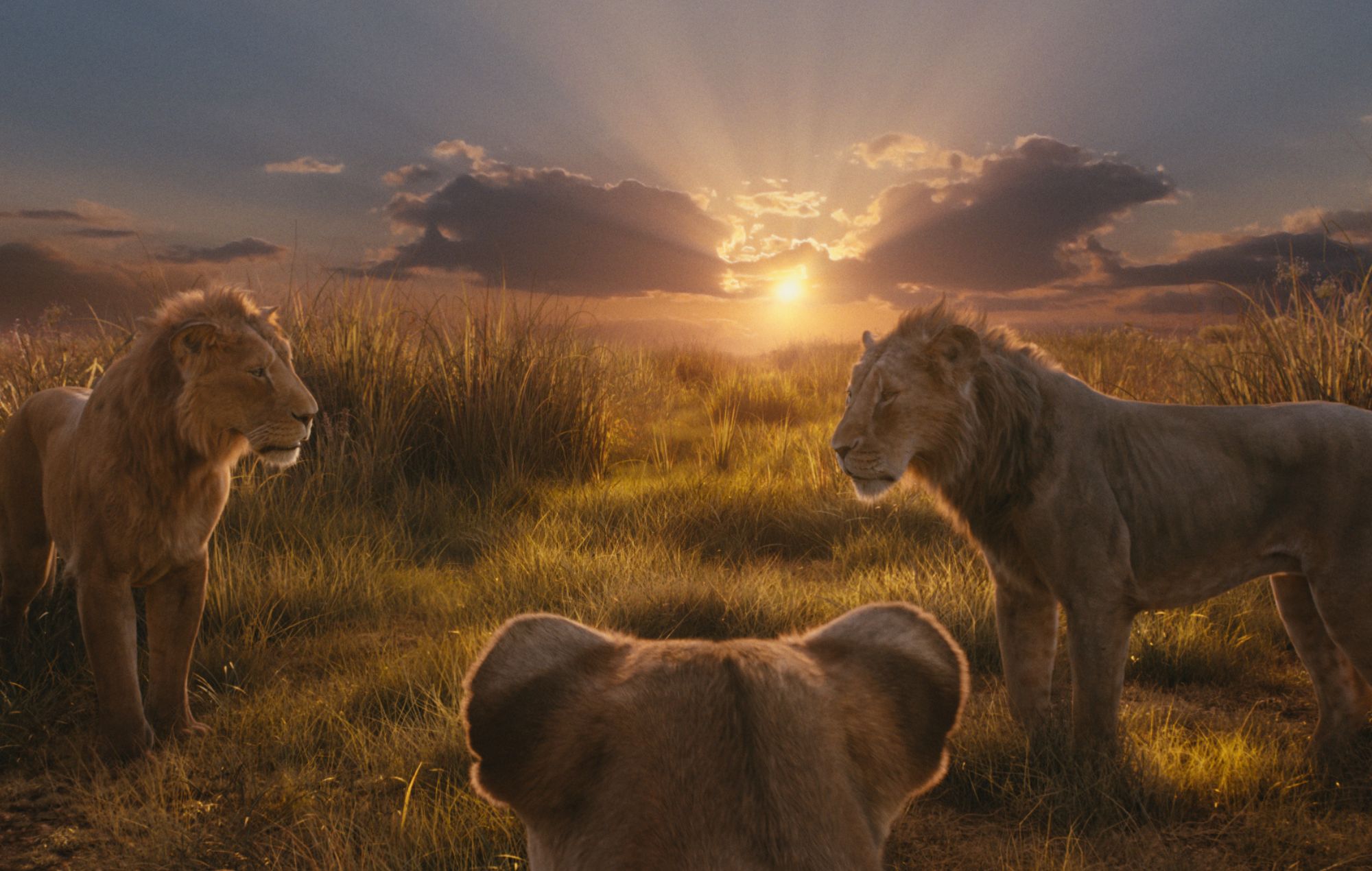 'Mufasa: The Lion King'. CREDIT: © 2024 Disney Enterprises, Inc. All Rights Reserved