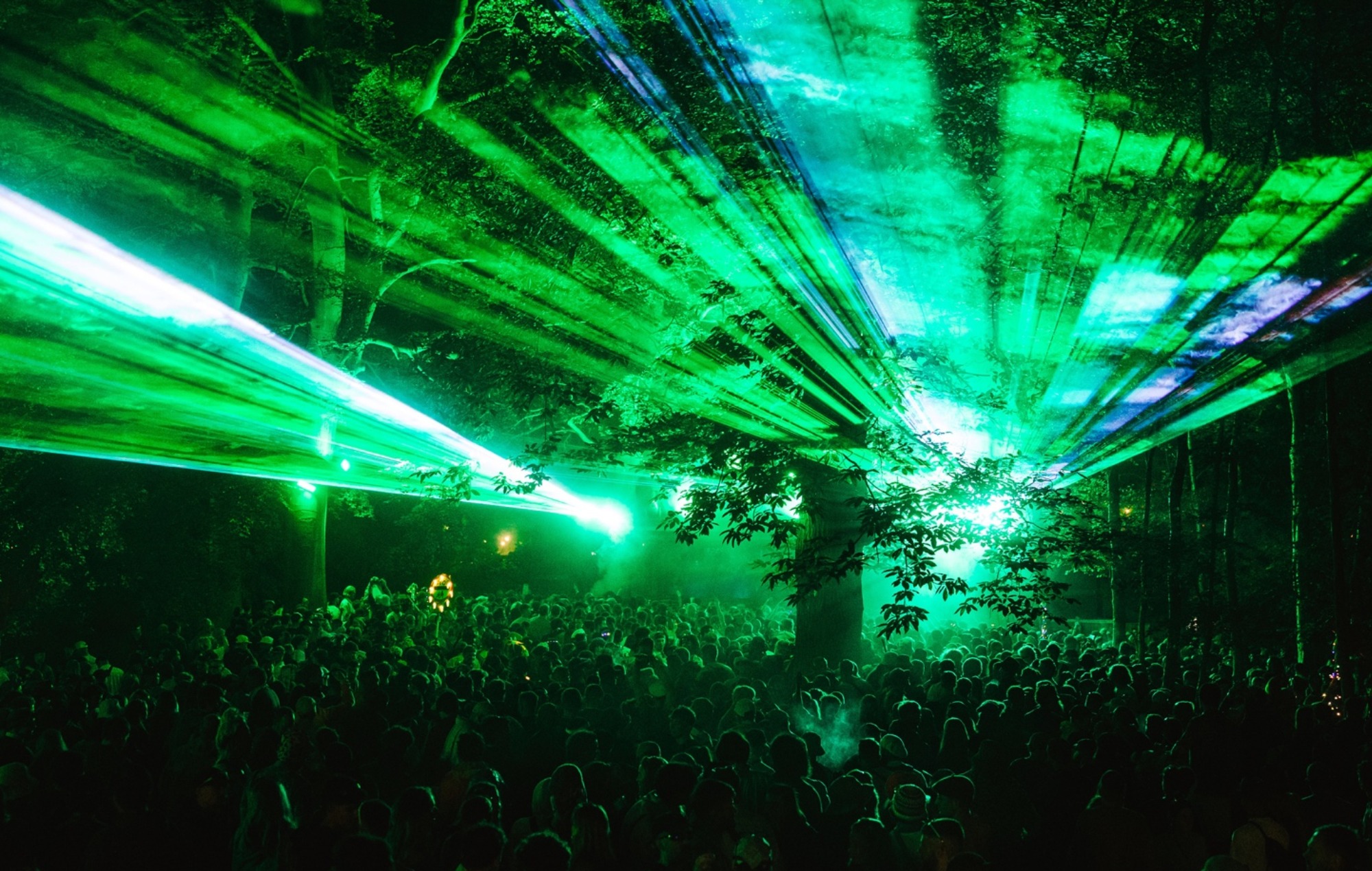 Houghton festival
