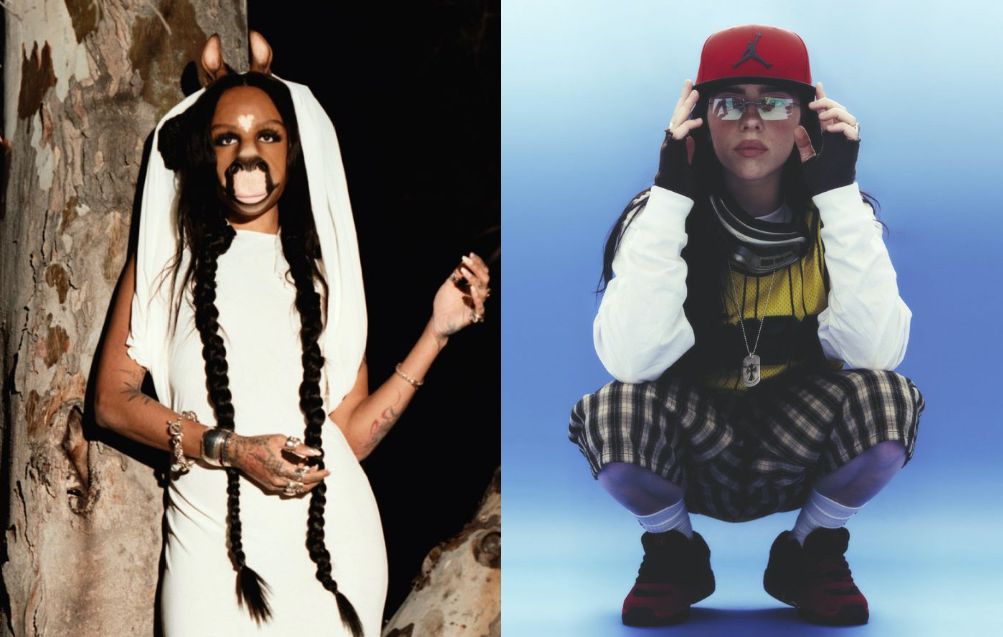 two side by side photographs of HorsegiirL (left) and Billie Eilish (right)