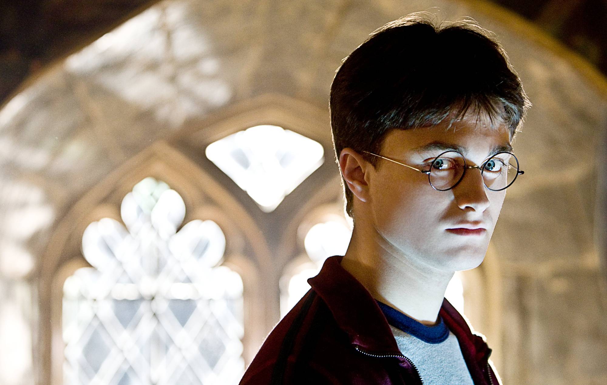 Daniel Radcliffe as Harry Potter