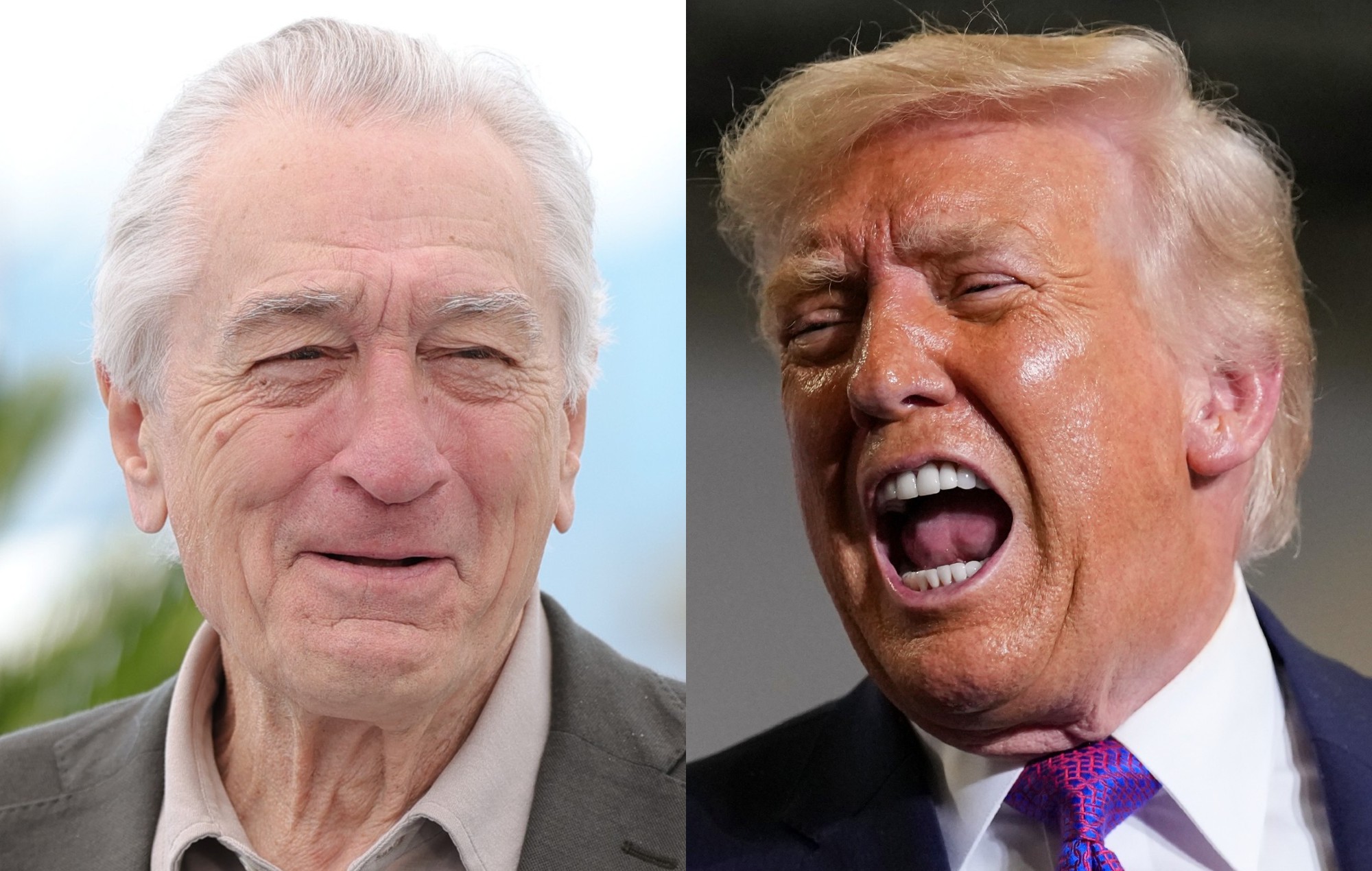 Robert De Niro Donald Trump