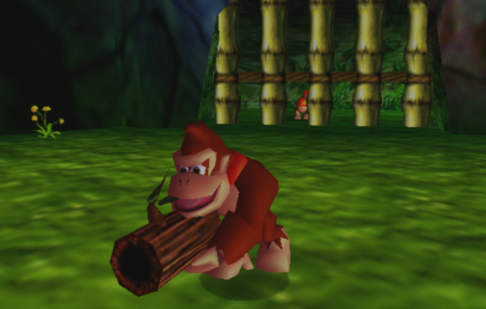 Donkey Kong 64