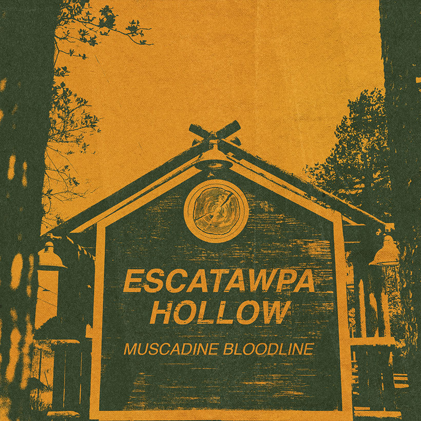 Muscadine Bloodline Escatawpa Hollow