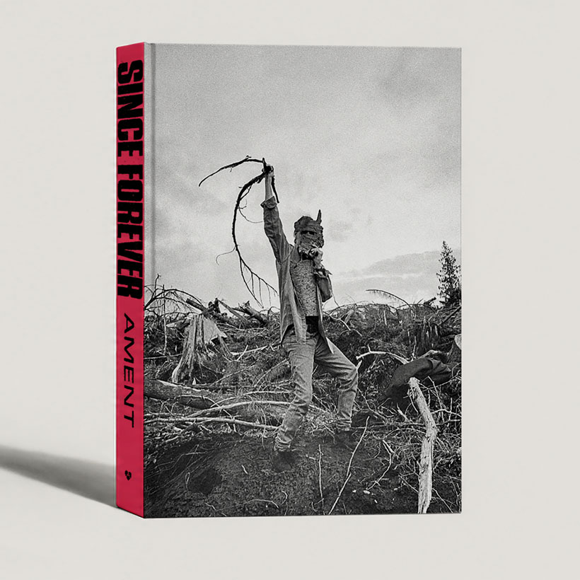 Pearl Jam Jeff Ament Since Forever book